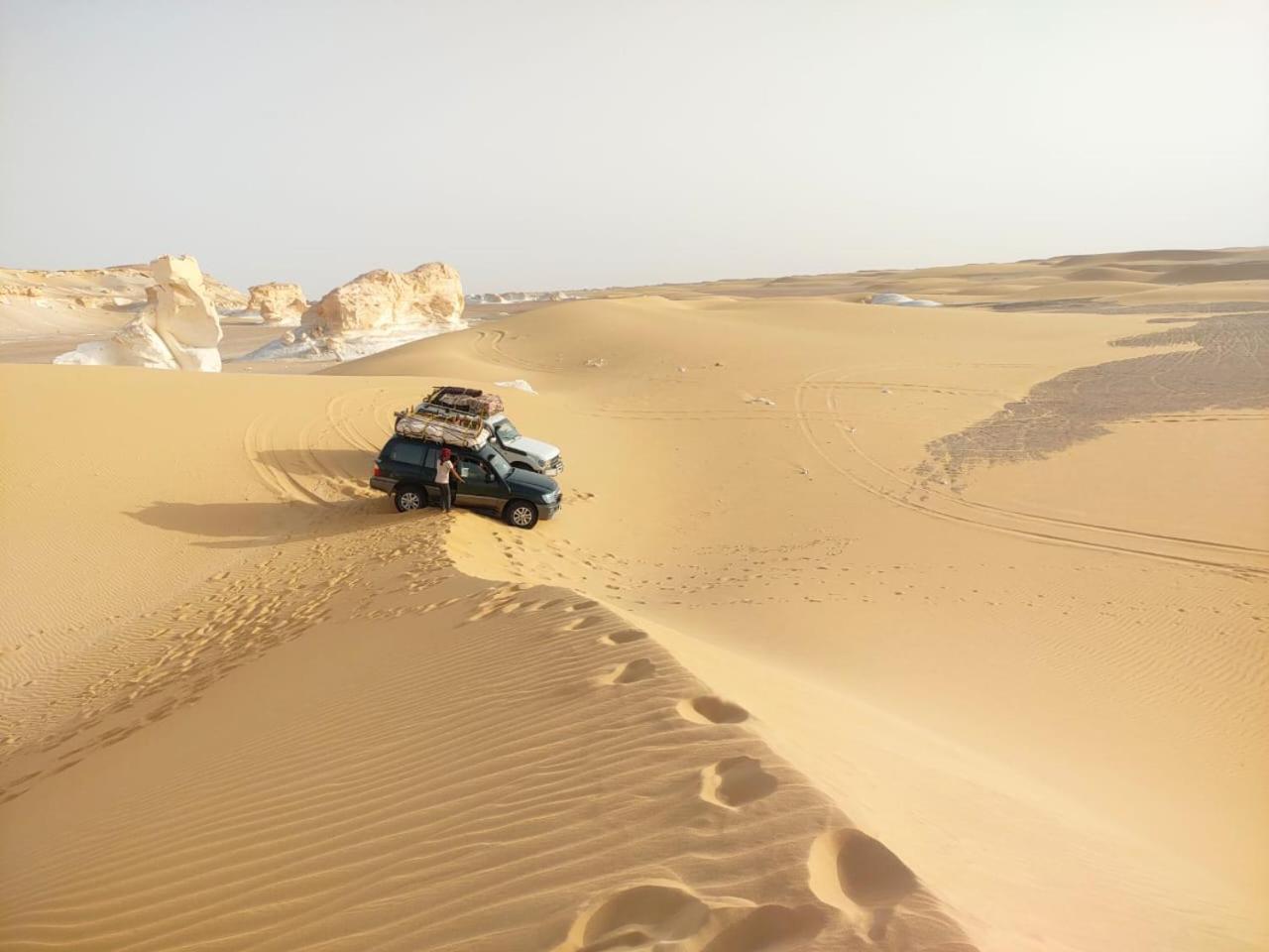 Safari Camp Bahariya Oasis Hotell Bawati Eksteriør bilde