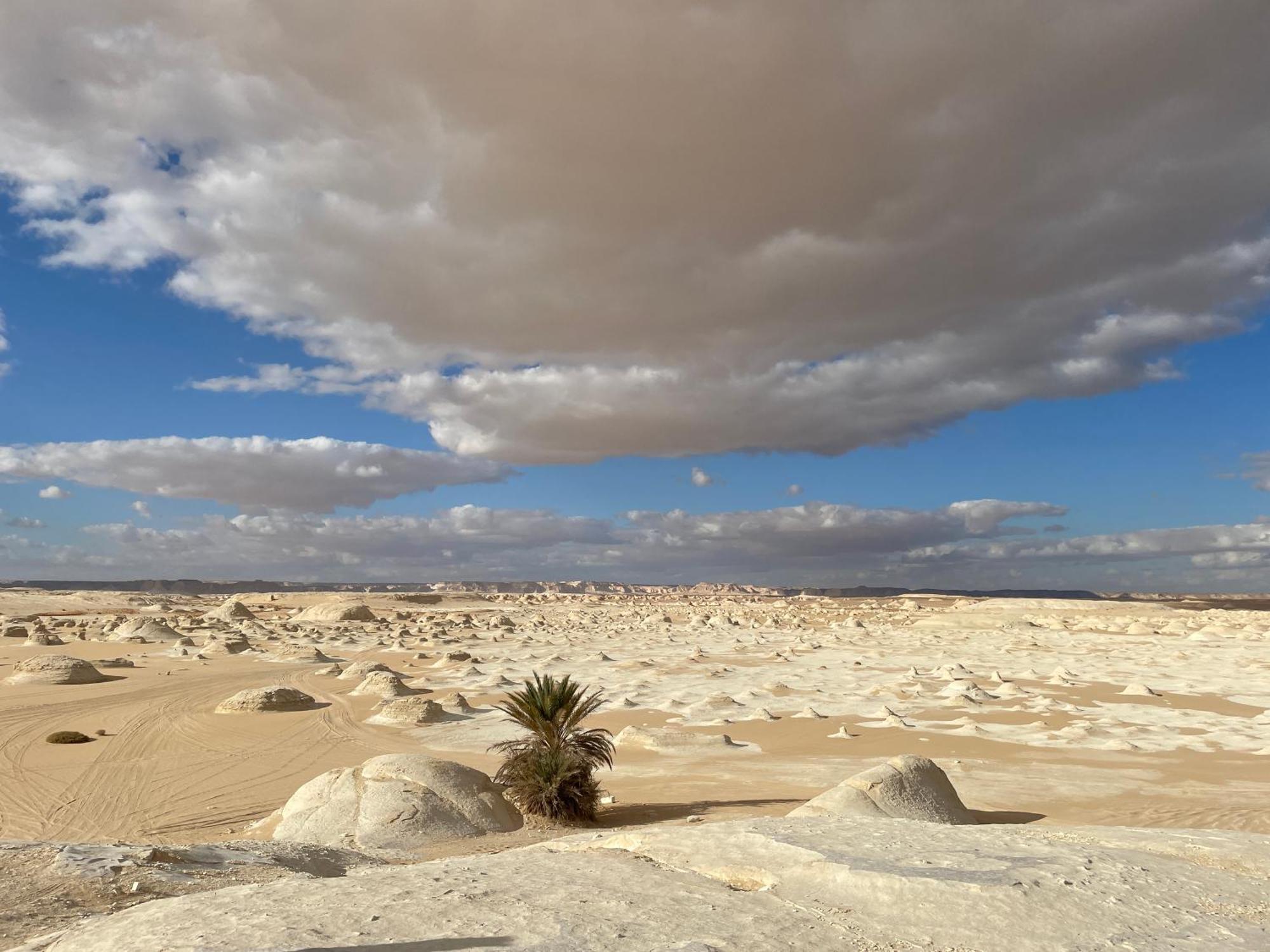 Safari Camp Bahariya Oasis Hotell Bawati Eksteriør bilde