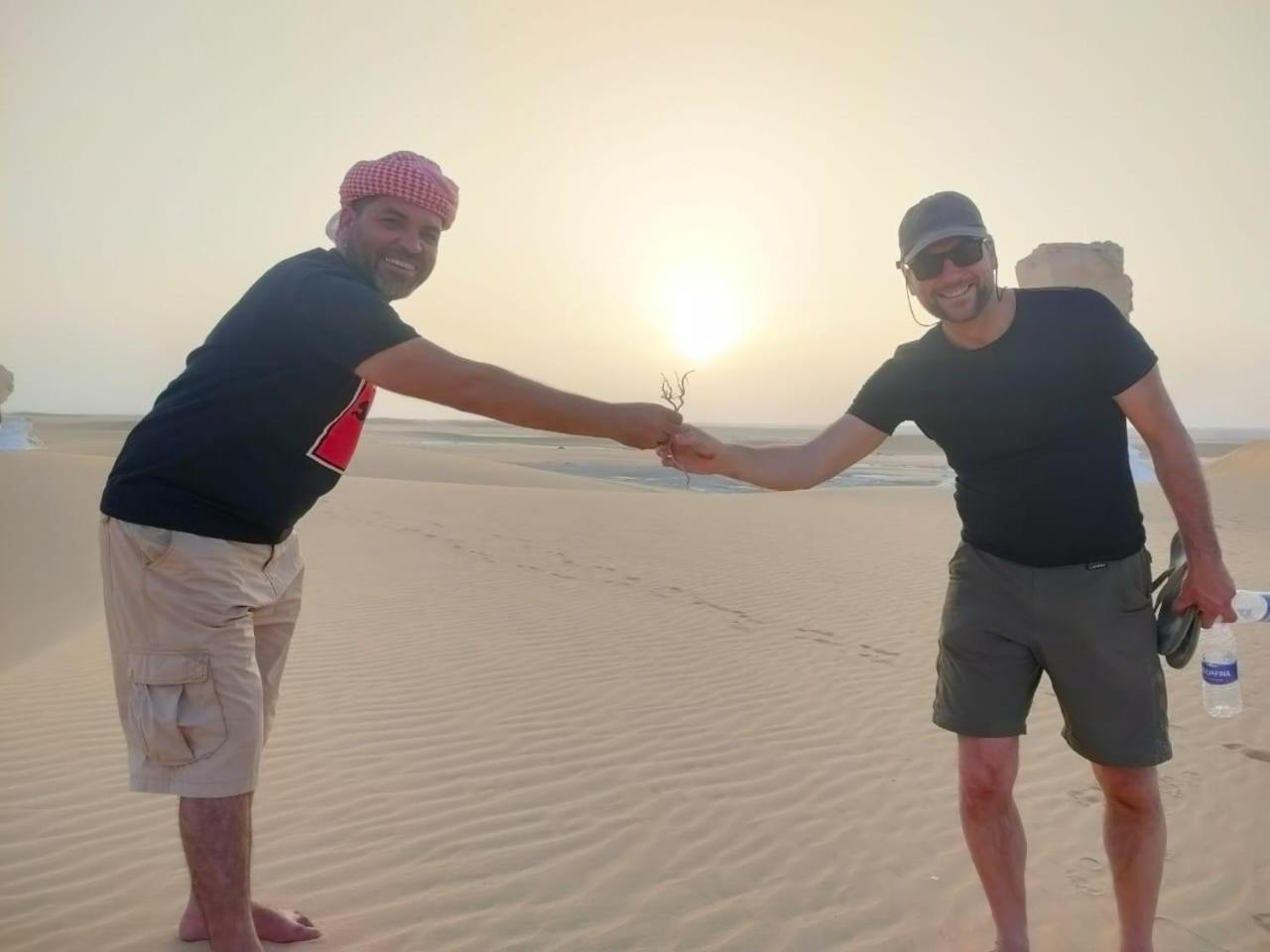 Safari Camp Bahariya Oasis Hotell Bawati Eksteriør bilde
